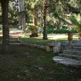 Attraverso il cancello riusciamo a scorgere l�ampio giardino, ricco di pini e palme